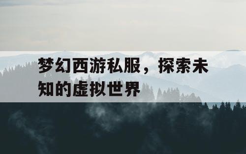 梦幻西游私服，探索未知的虚拟世界