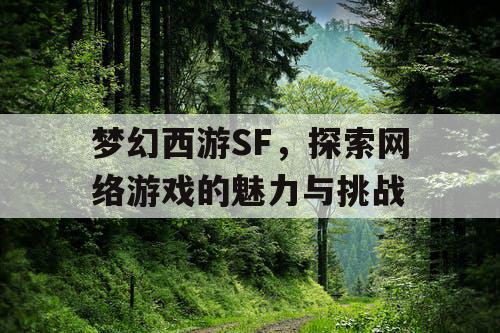 梦幻西游SF	，探索网络游戏的魅力与挑战