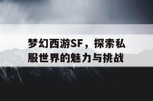 梦幻西游SF，探索私服世界的魅力与挑战