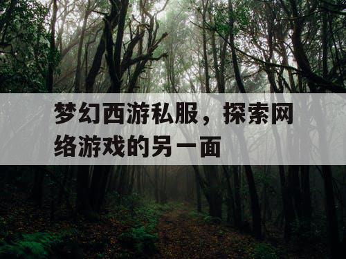 梦幻西游私服，探索网络游戏的另一面