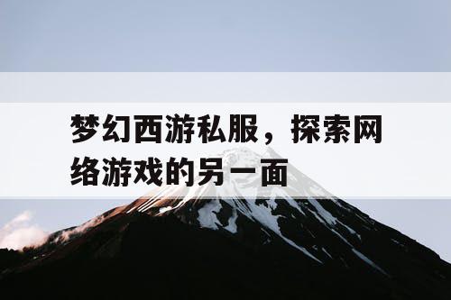 梦幻西游私服，探索网络游戏的另一面