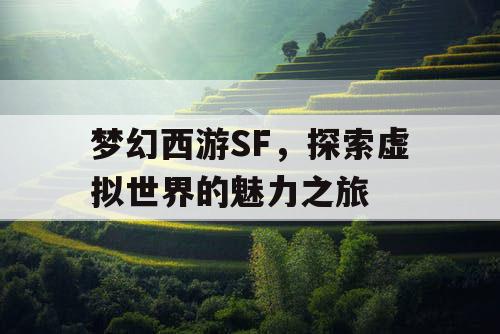 梦幻西游SF，探索虚拟世界的魅力之旅