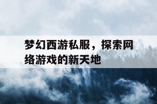 梦幻西游私服	，探索网络游戏的新天地