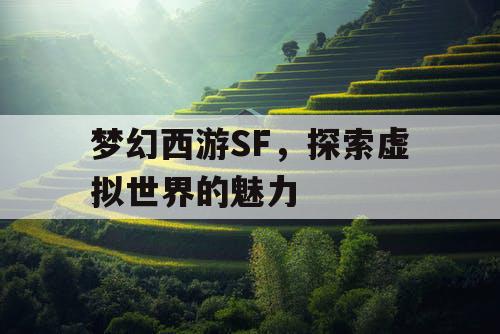 梦幻西游SF，探索虚拟世界的魅力