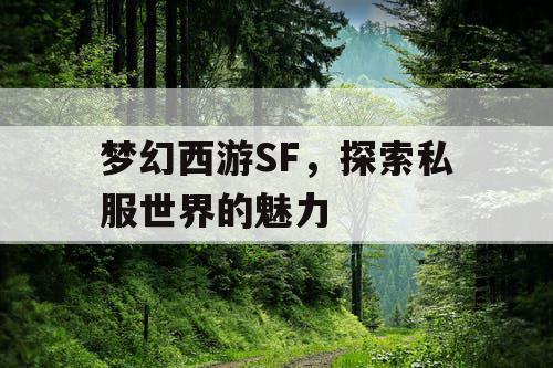 梦幻西游SF	，探索私服世界的魅力