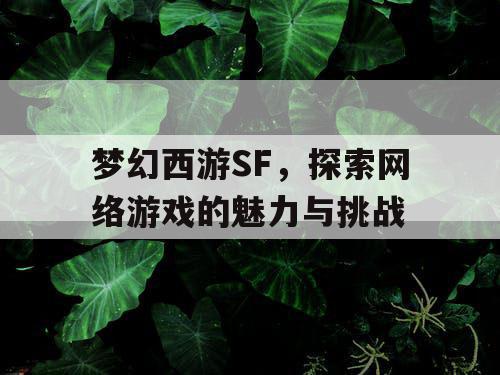 梦幻西游SF	，探索网络游戏的魅力与挑战