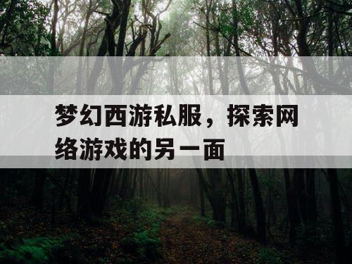 梦幻西游私服	，探索网络游戏的另一面