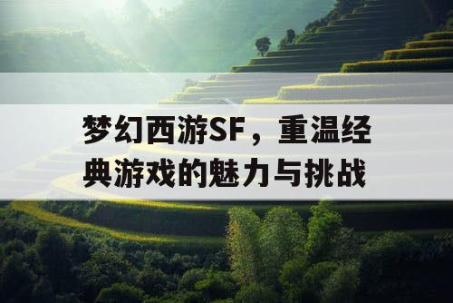 梦幻西游SF，重温经典游戏的魅力与挑战