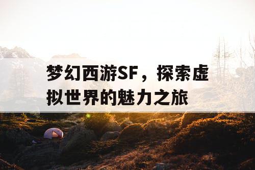 梦幻西游SF，探索虚拟世界的魅力之旅