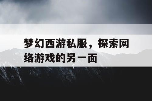 梦幻西游私服，探索网络游戏的另一面