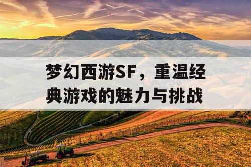 梦幻西游SF，重温经典游戏的魅力与挑战