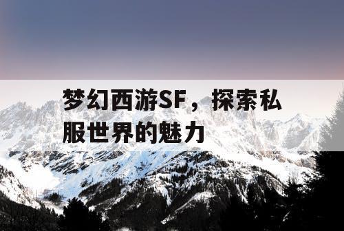 梦幻西游SF，探索私服世界的魅力