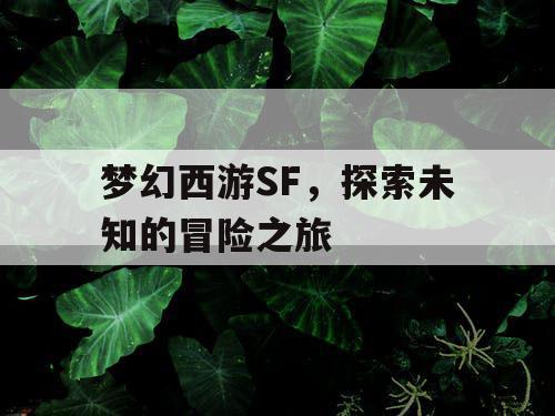 梦幻西游SF，探索未知的冒险之旅