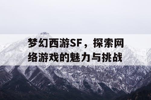 梦幻西游SF	，探索网络游戏的魅力与挑战