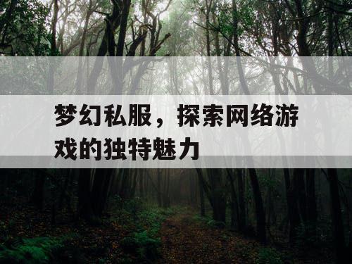 梦幻私服，探索网络游戏的独特魅力