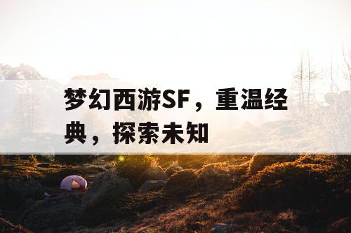 梦幻西游SF，重温经典，探索未知