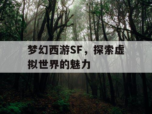 梦幻西游SF，探索虚拟世界的魅力