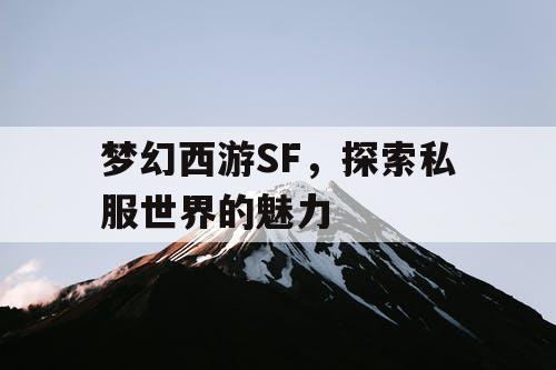 梦幻西游SF，探索私服世界的魅力