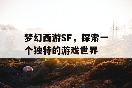 梦幻西游SF，探索一个独特的游戏世界