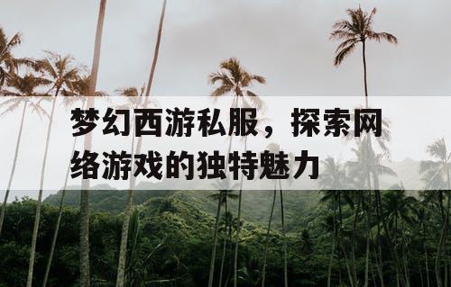 梦幻西游私服，探索网络游戏的独特魅力