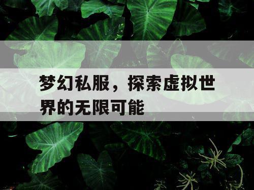 梦幻私服，探索虚拟世界的无限可能