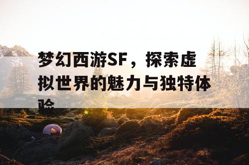 梦幻西游SF，探索虚拟世界的魅力与独特体验