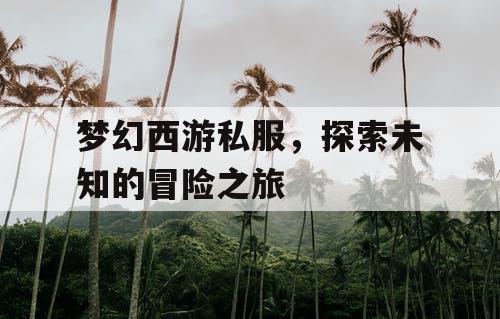 梦幻西游私服	，探索未知的冒险之旅