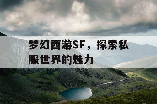 梦幻西游SF，探索私服世界的魅力