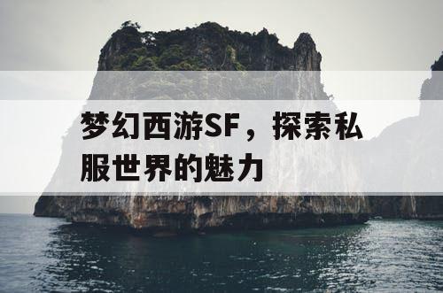 梦幻西游SF	，探索私服世界的魅力