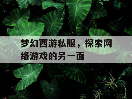 梦幻西游私服	，探索网络游戏的另一面