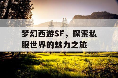 梦幻西游SF，探索私服世界的魅力之旅