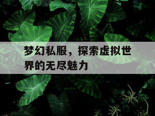 梦幻私服，探索虚拟世界的无尽魅力