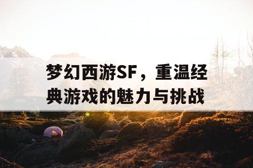 梦幻西游SF，重温经典游戏的魅力与挑战