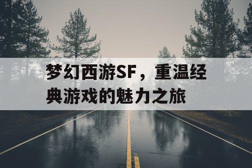 梦幻西游SF，重温经典游戏的魅力之旅