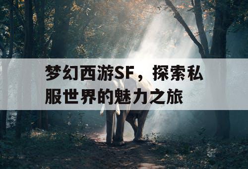 梦幻西游SF	，探索私服世界的魅力之旅