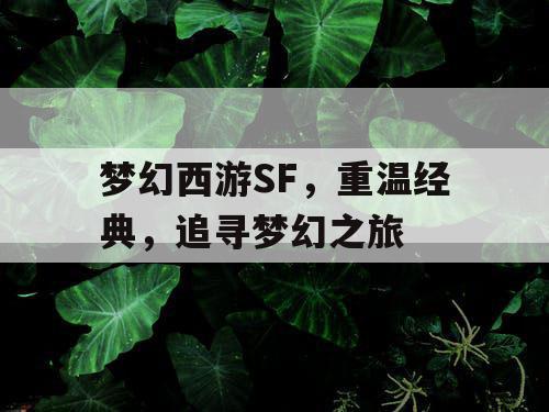 梦幻西游SF，重温经典	，追寻梦幻之旅