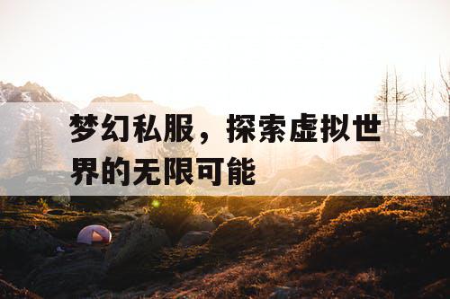 梦幻私服	，探索虚拟世界的无限可能