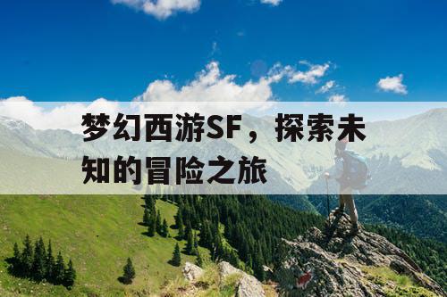 梦幻西游SF，探索未知的冒险之旅