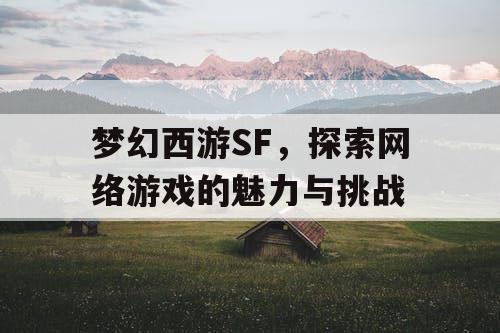 梦幻西游SF	，探索网络游戏的魅力与挑战