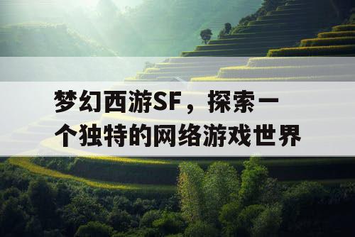 梦幻西游SF，探索一个独特的网络游戏世界