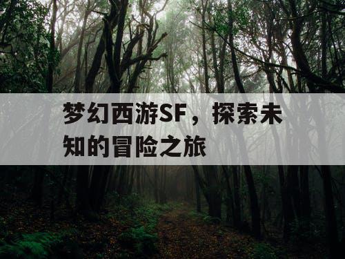 梦幻西游SF，探索未知的冒险之旅