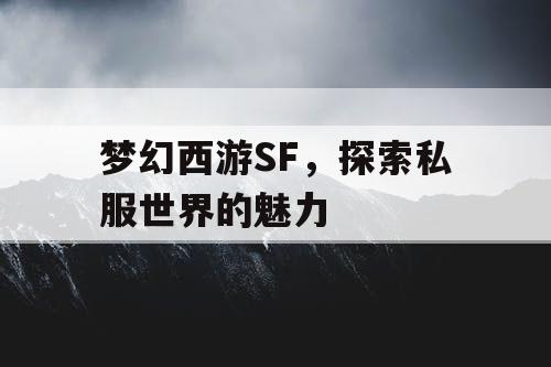 梦幻西游SF，探索私服世界的魅力