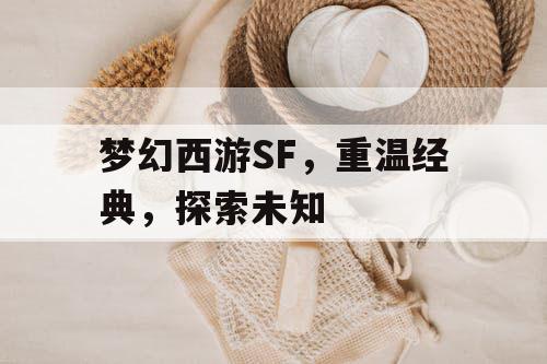 梦幻西游SF	，重温经典，探索未知