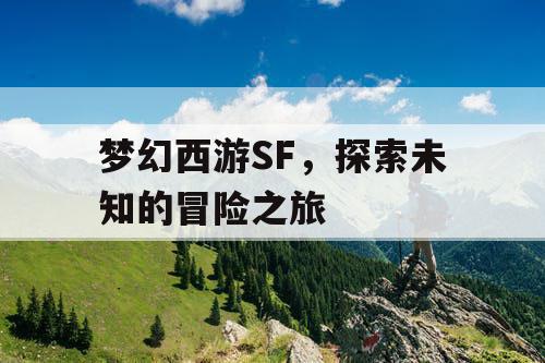 梦幻西游SF	，探索未知的冒险之旅