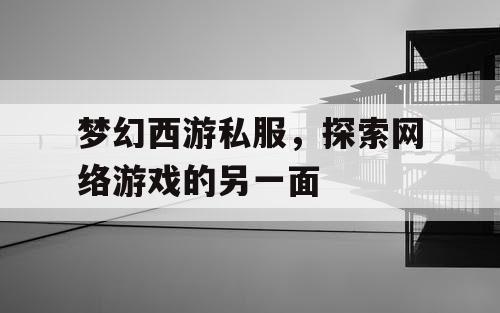 梦幻西游私服	，探索网络游戏的另一面