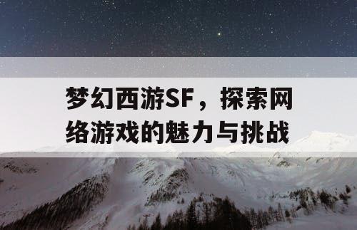 梦幻西游SF，探索网络游戏的魅力与挑战