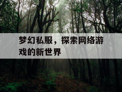 梦幻私服，探索网络游戏的新世界