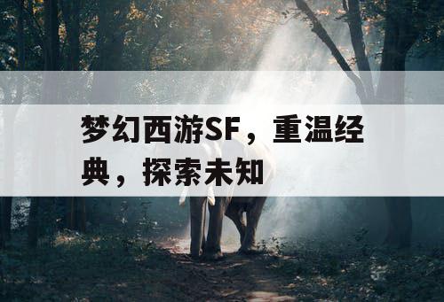 梦幻西游SF，重温经典	，探索未知