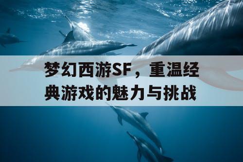 梦幻西游SF，重温经典游戏的魅力与挑战