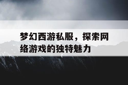 梦幻西游私服，探索网络游戏的独特魅力